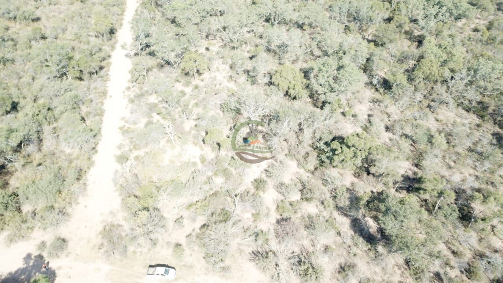 21000 ha mixto santiago del estero