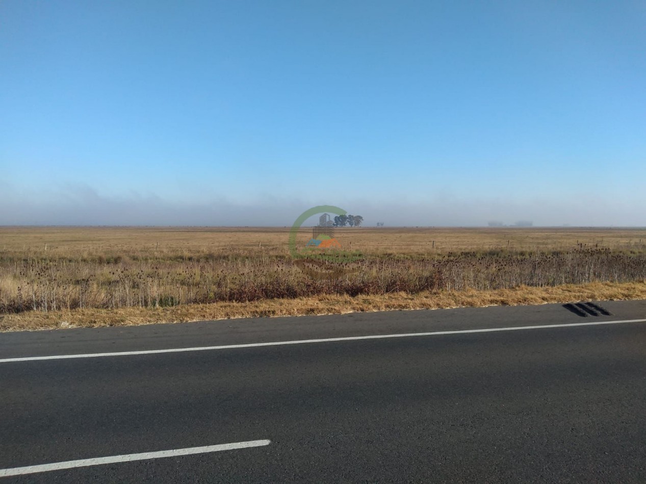 200 ha Mixtas - Gral Alvear