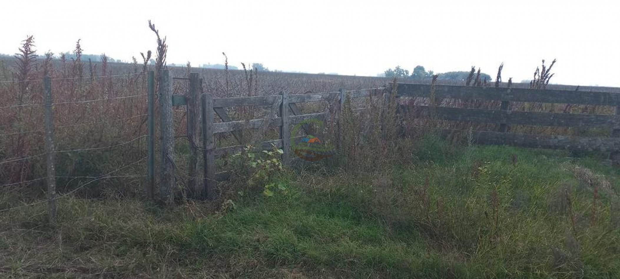 114 Ha Mixto - Urdampilleta - Bolivar