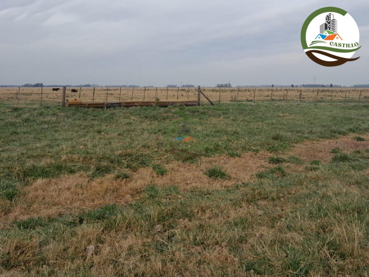 1025 ha mixta - saladillo