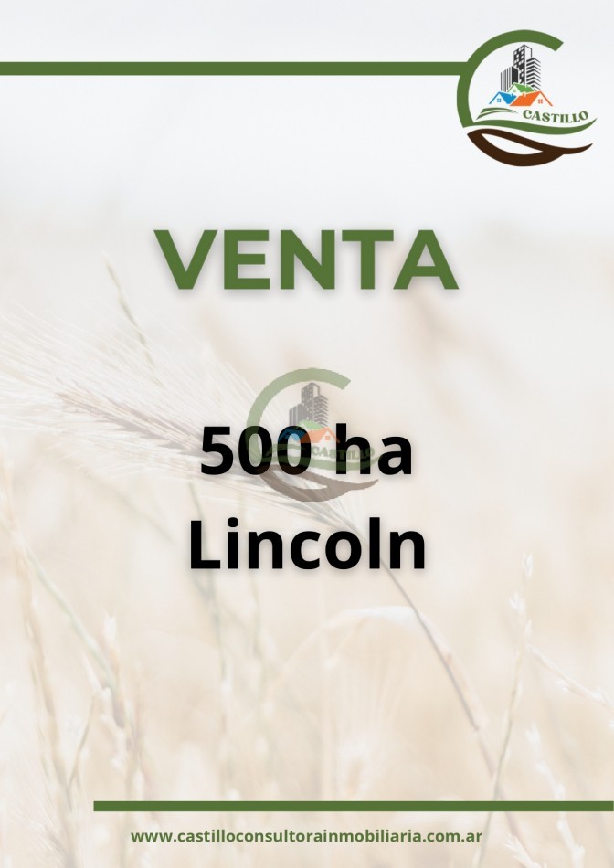 500 ha mixto - lincoln