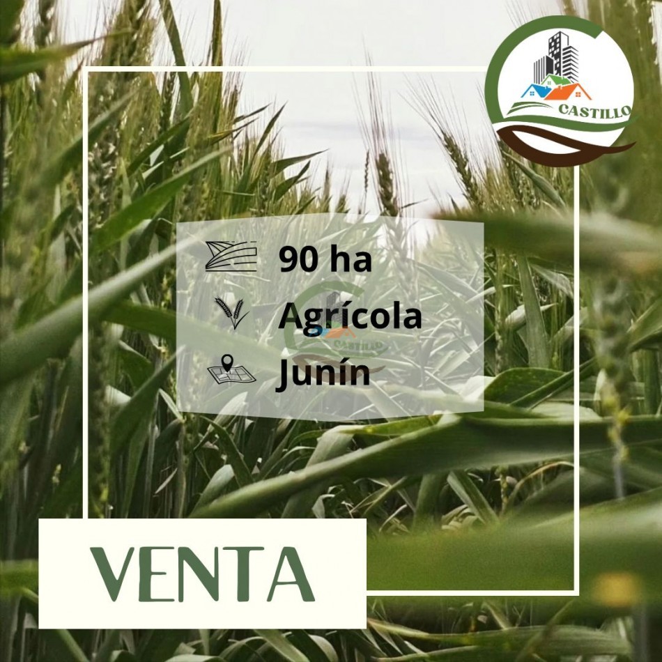 87 ha Agricolas - Junin