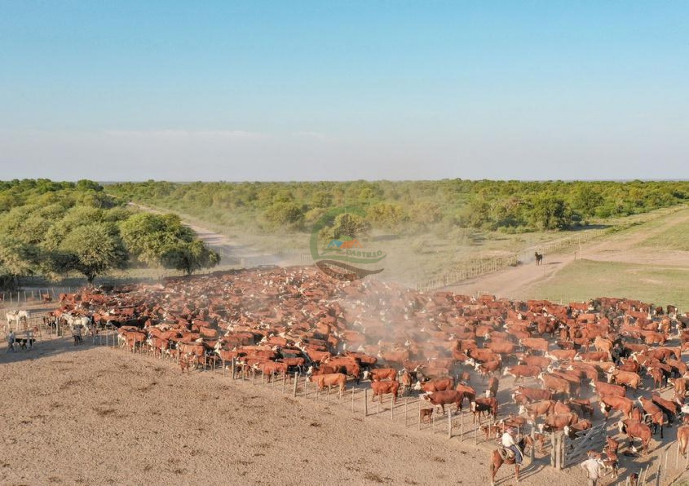 9389 Ha Mixto - Jimenez - Santiago del Estero