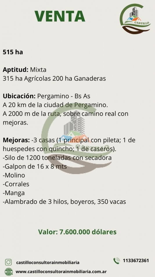 515 ha MIxtas - Pergamino