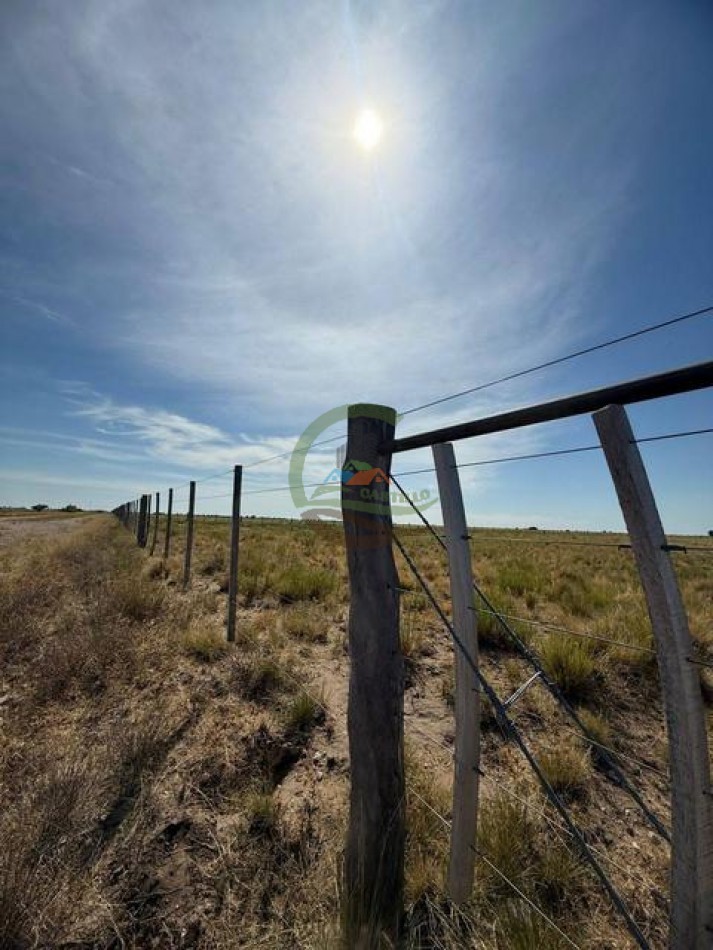 200 Ha Ganadero - Villa Iris - Buenos Aires