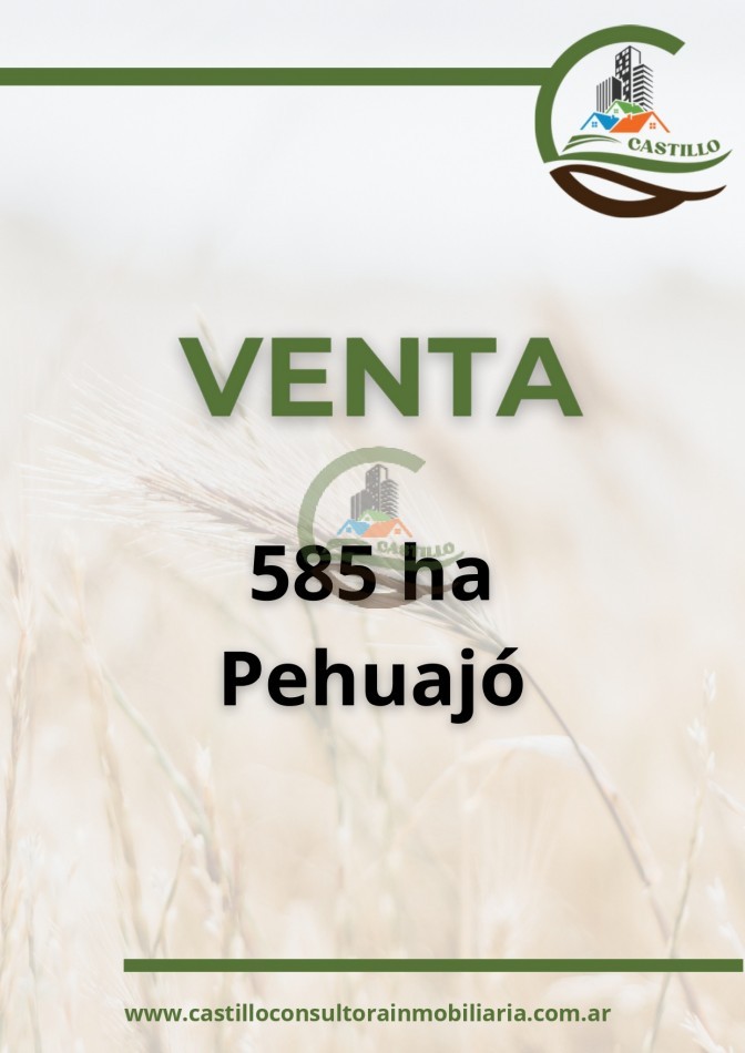 585 ha mixtas - pehuajo