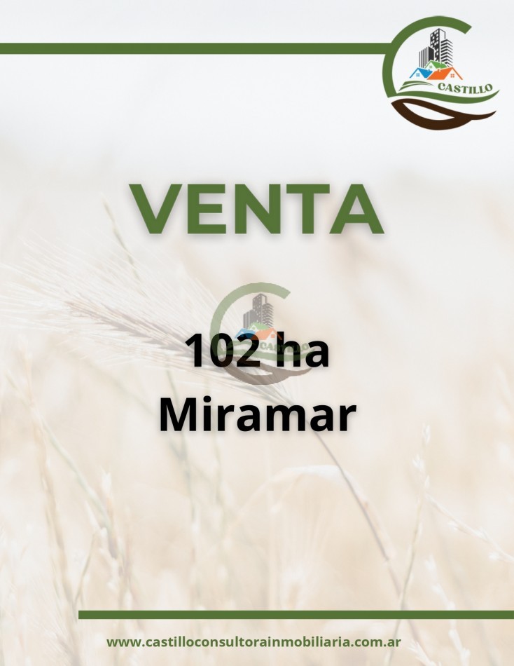 102 ha Mixtas - mechongue