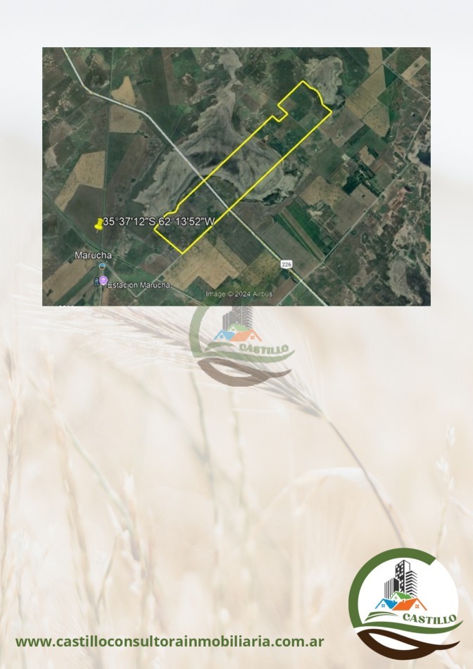 585 ha mixtas - pehuajo