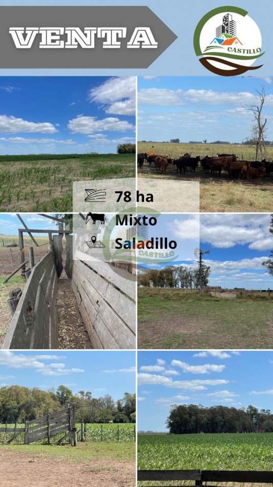 78 ha Mixtas - Saladillo