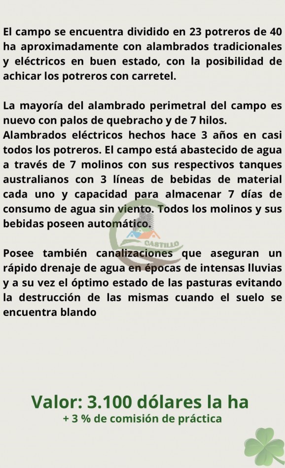 900 ha Ganadera - Tapalque 