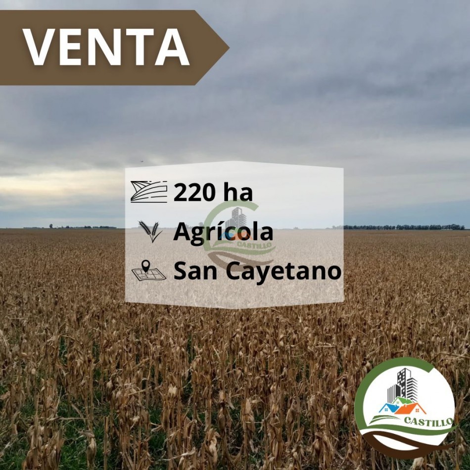 220 ha agricolas - san cayetano