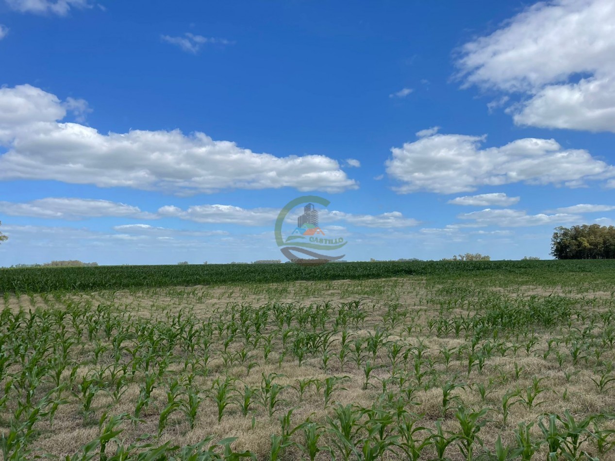 78 ha Mixtas - Saladillo