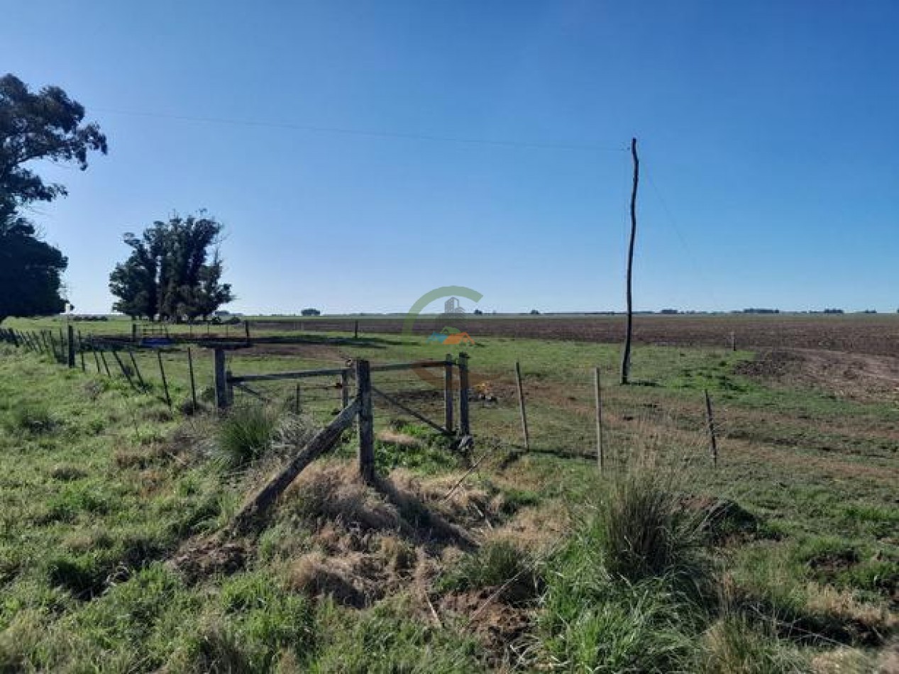 324 Ha Agricolas - San Cayetano