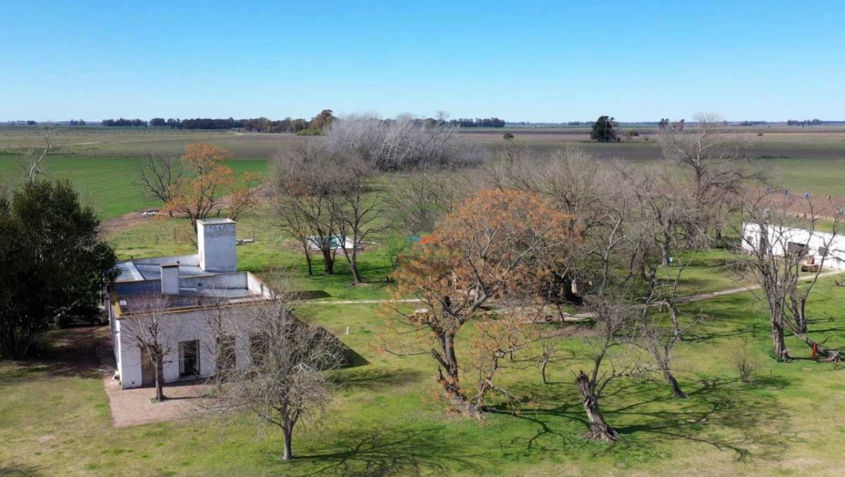 77 ha Agricolas - San Miguel De Monte