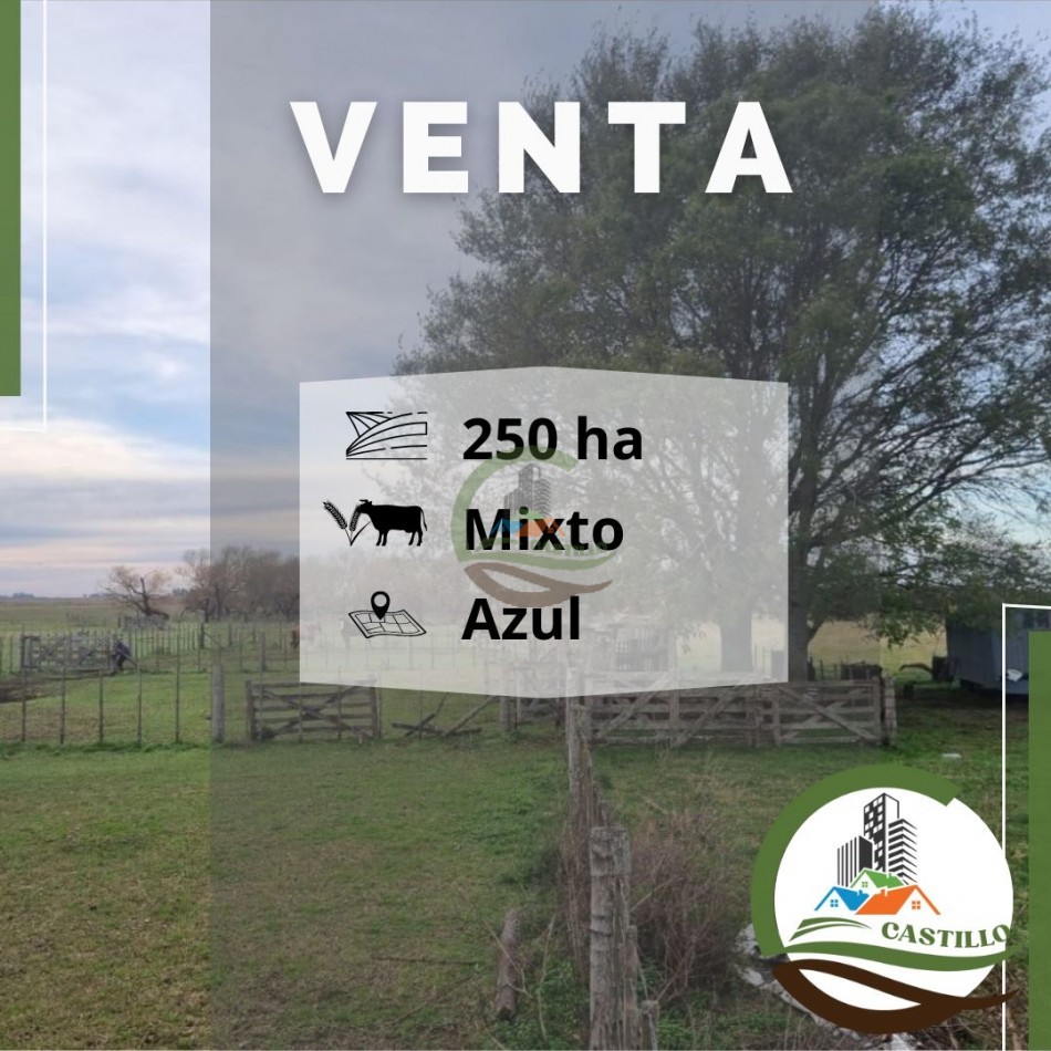 253 ha Mixto-- Azul