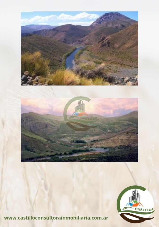 10000 ha mixto - Neuquen