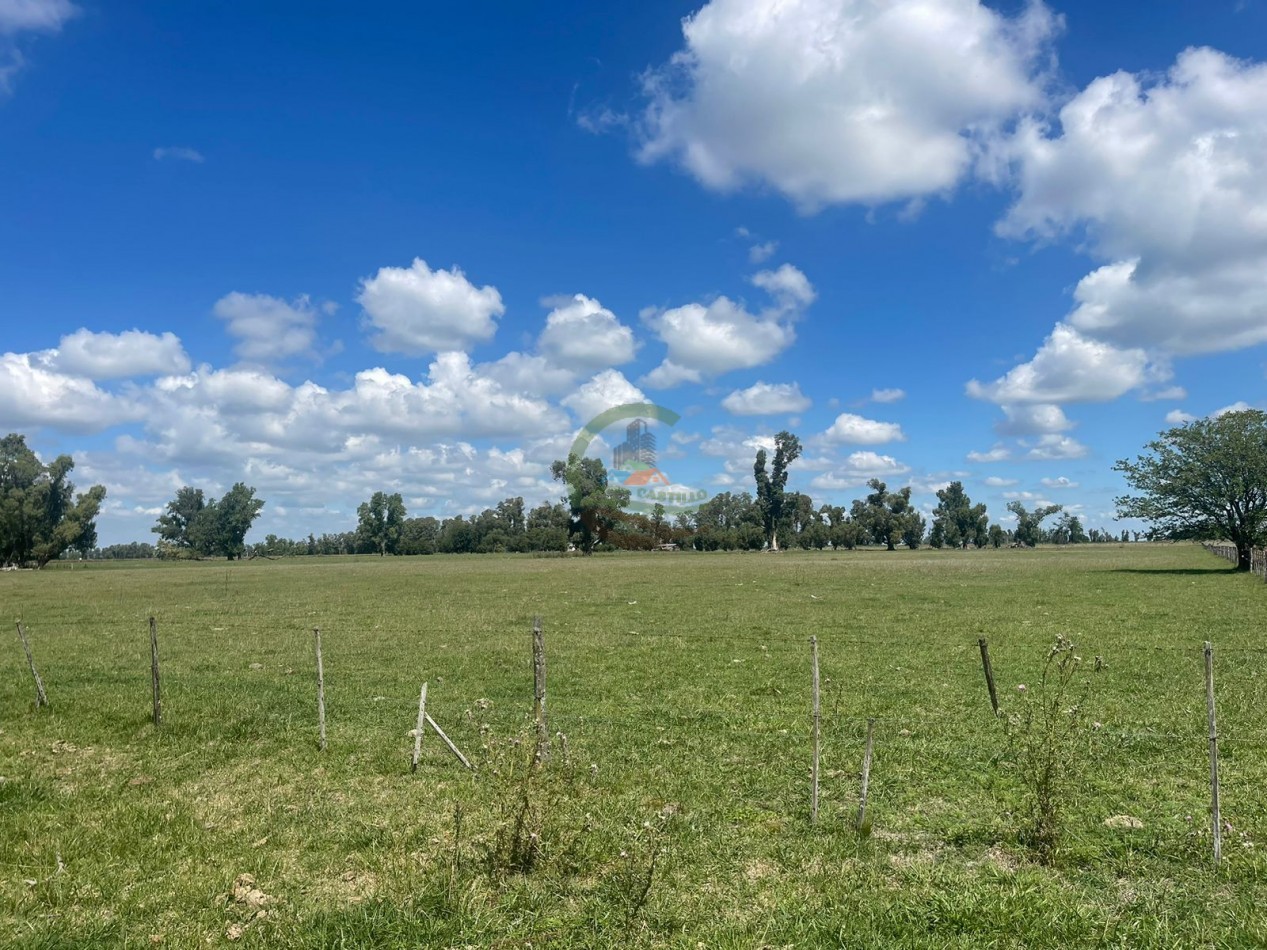 106 ha ganadero - gral alvear