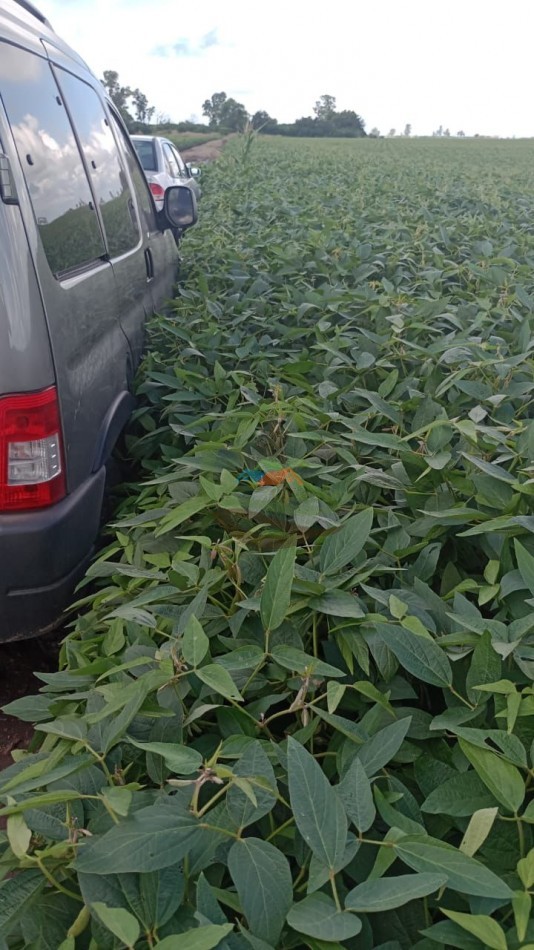 200 ha Agricolas - Cordoba 