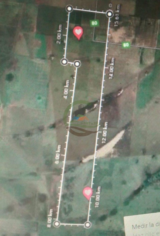 632 Ha Mixtas - Galvez - Santa Fe