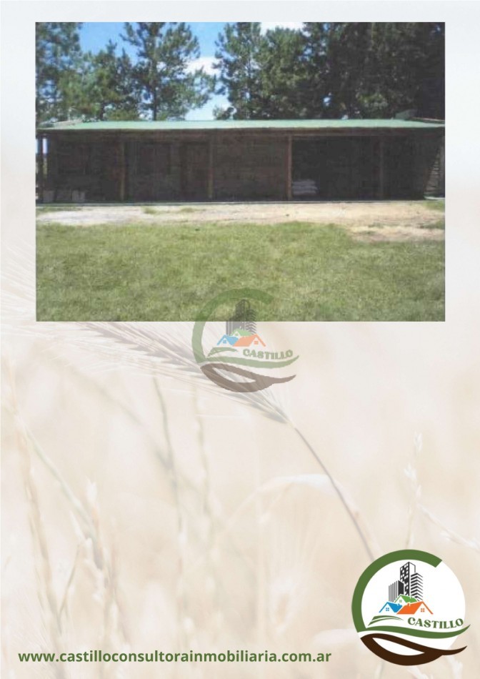 41539 Ha Mixto - Ituzaingo - Corrientes
