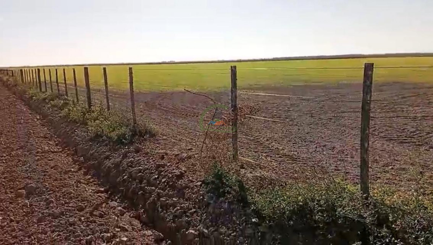 1300 Ha Agricolas - Fernandez - Santiago del Estero