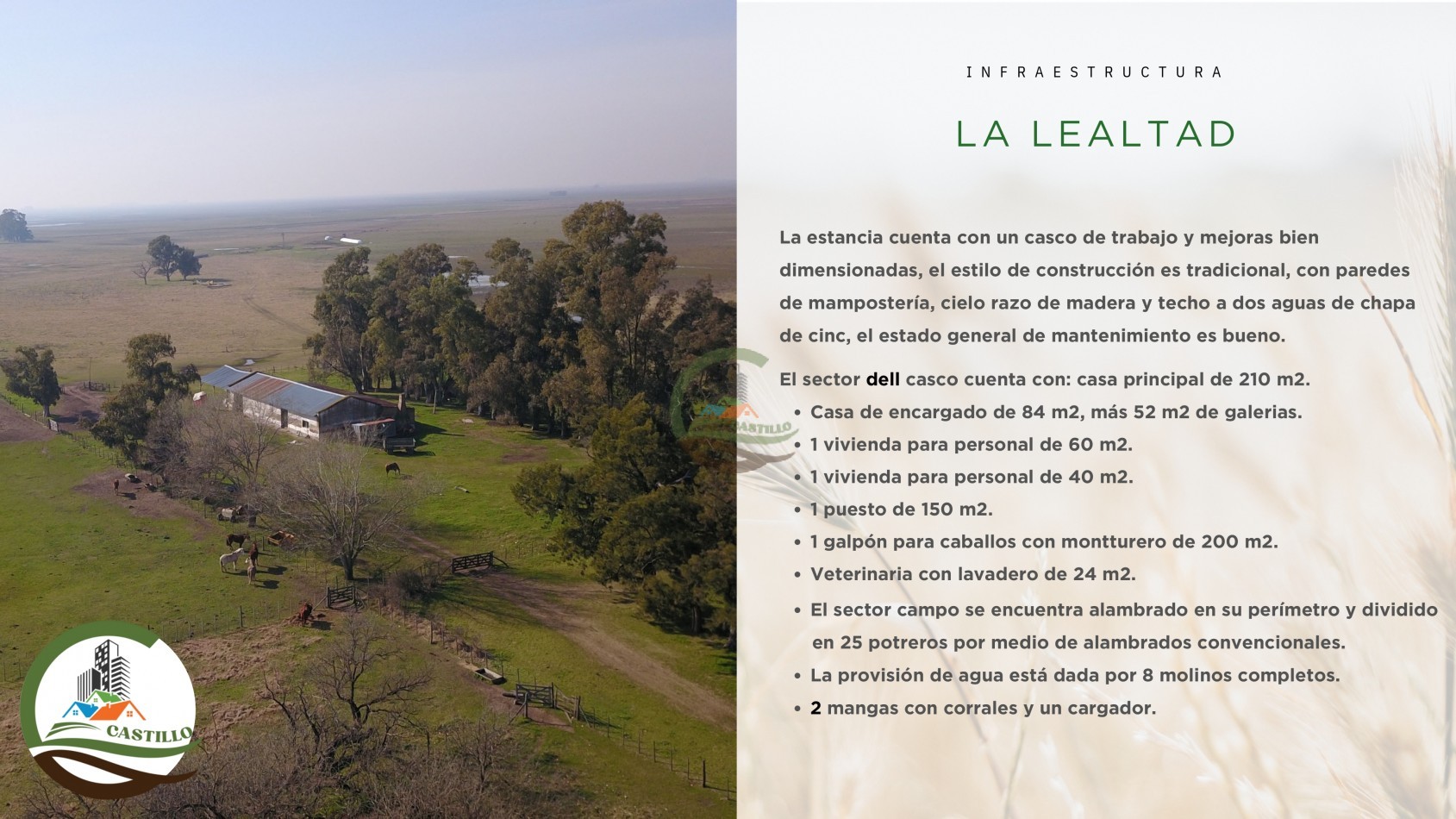 3485 ha Ganadero - Tapalque