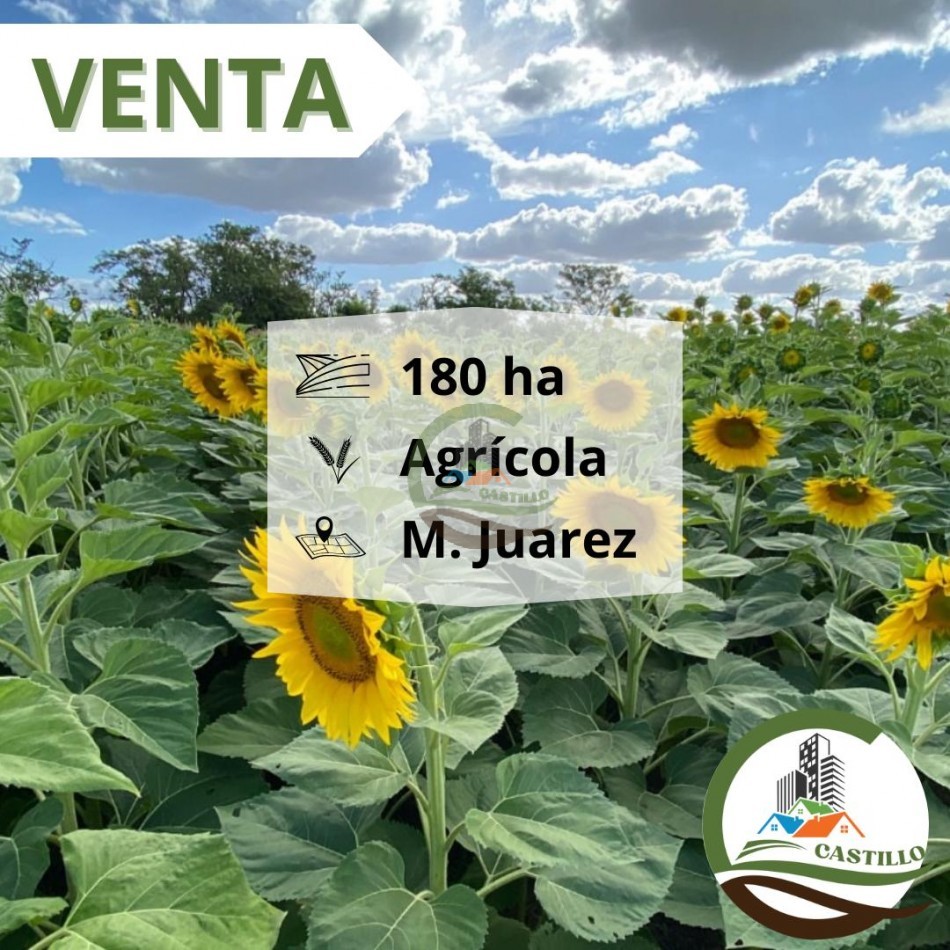 180 Ha Agricolas - Marcos Juarez - Cordoba 
