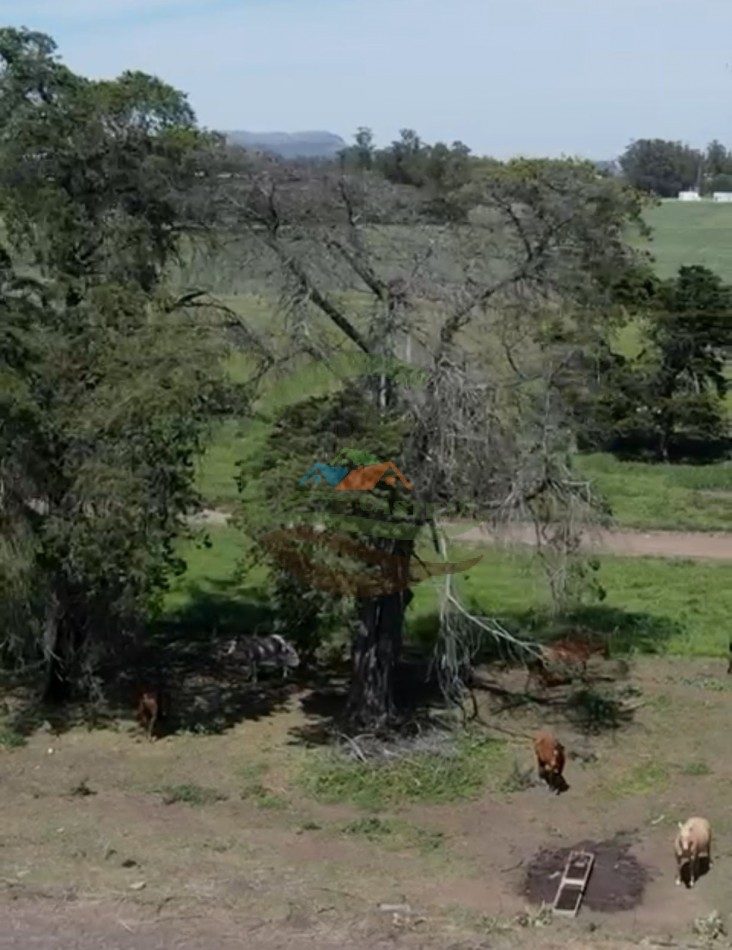 220 ha Agricolas - Balcarce  