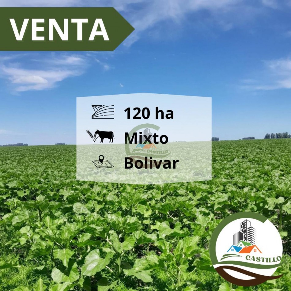 125 Ha MIxto - Bolivar