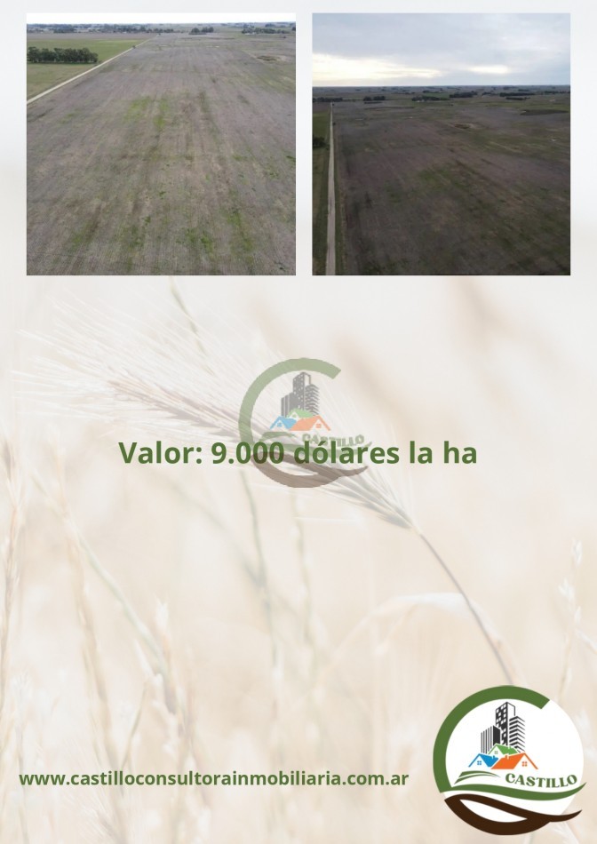157 ha agricola - mar chiquita