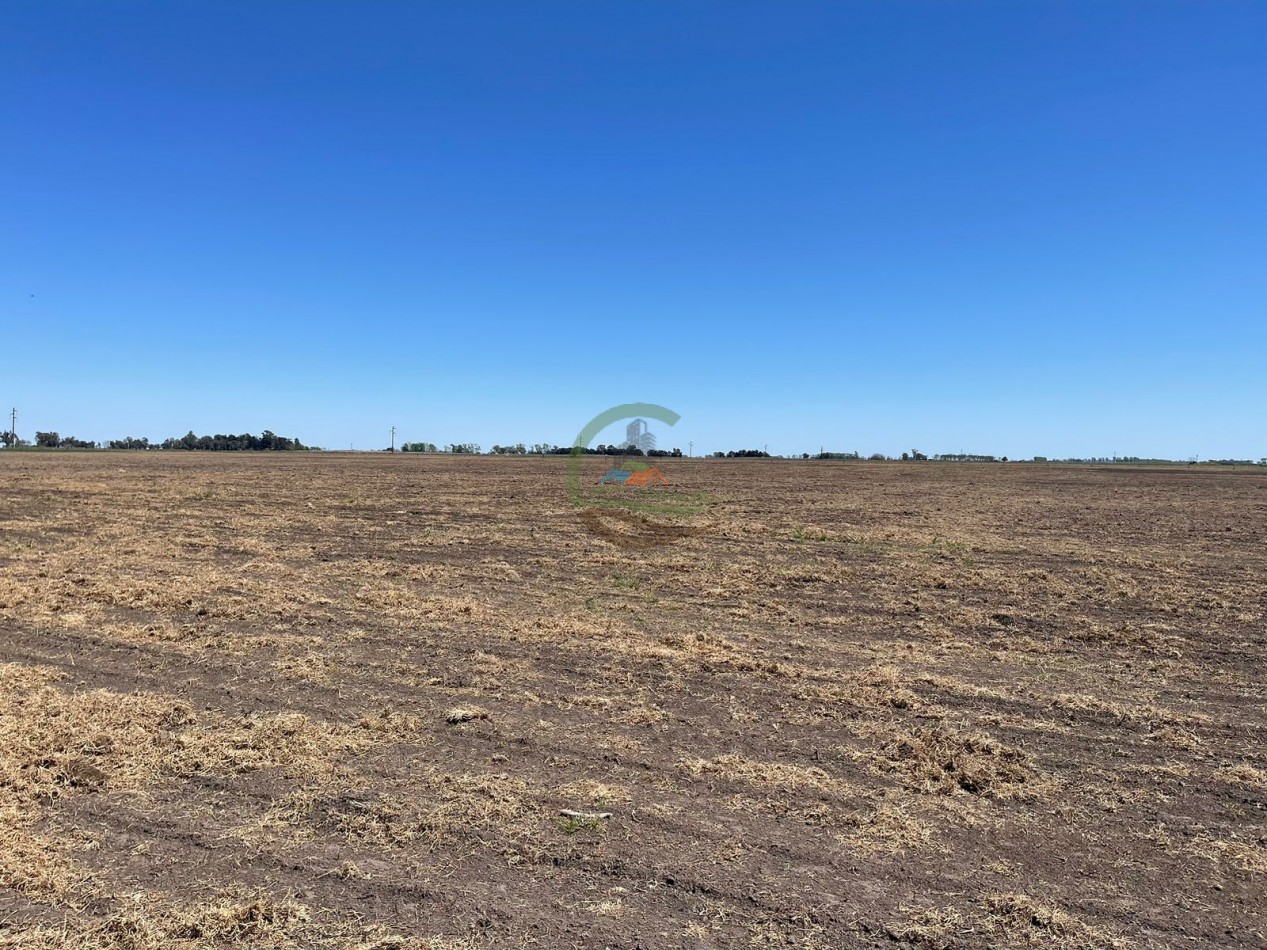 102 ha Agricolas - 25 de Mayo 