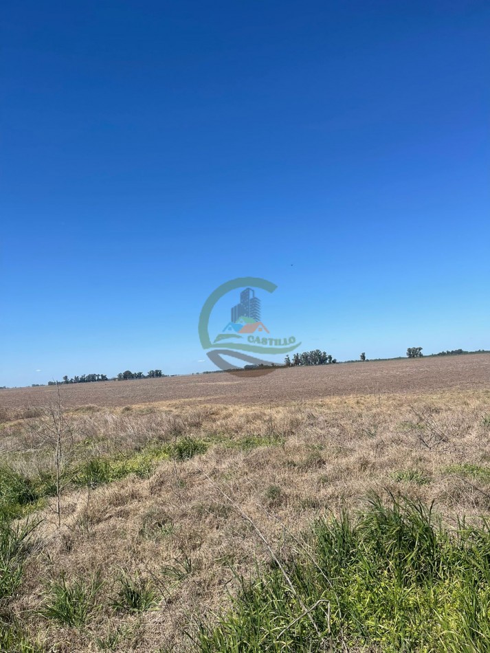 102 ha Agricolas - 25 de Mayo 