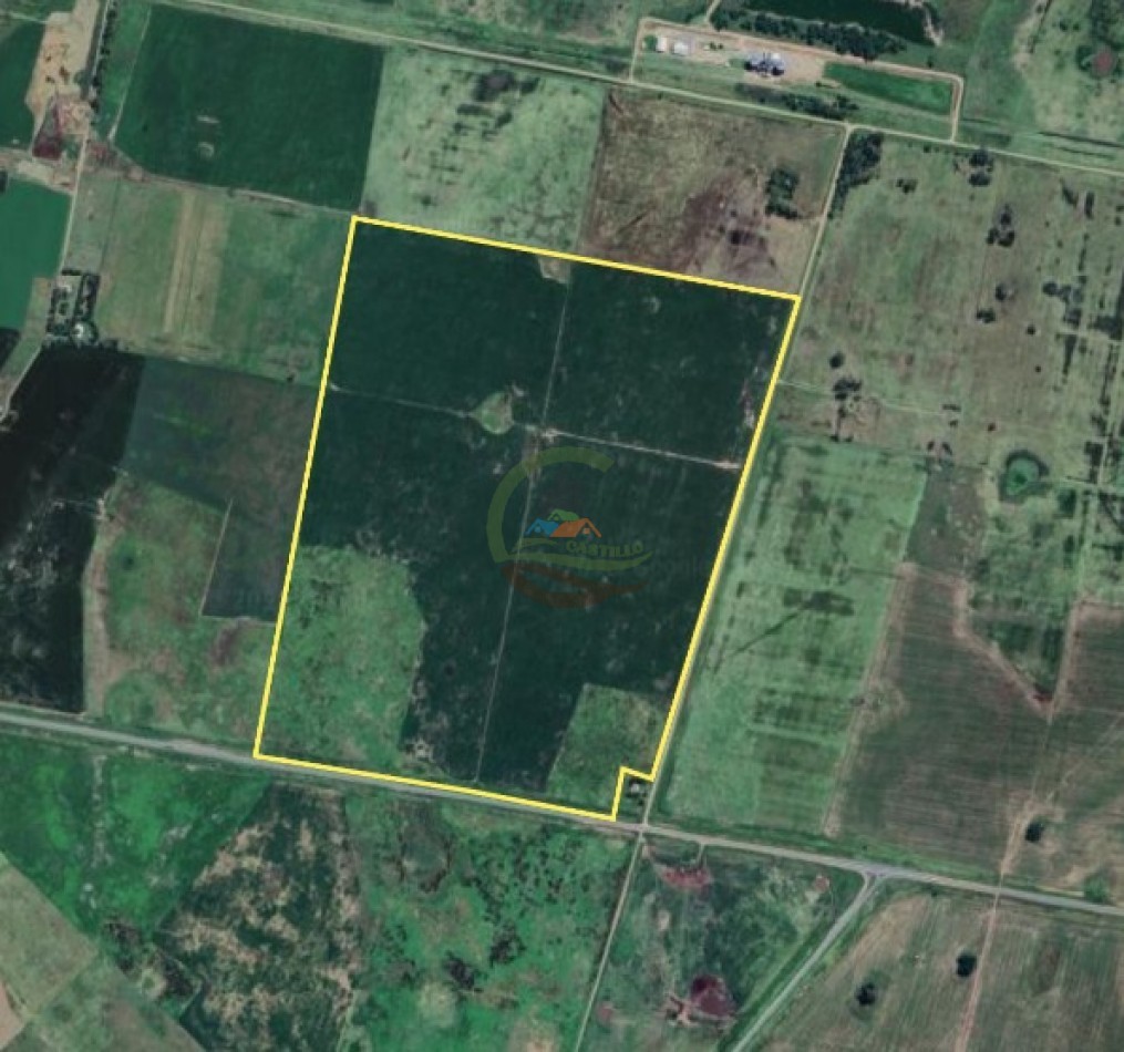114 Ha Agricolas - Balsa - Lincoln 