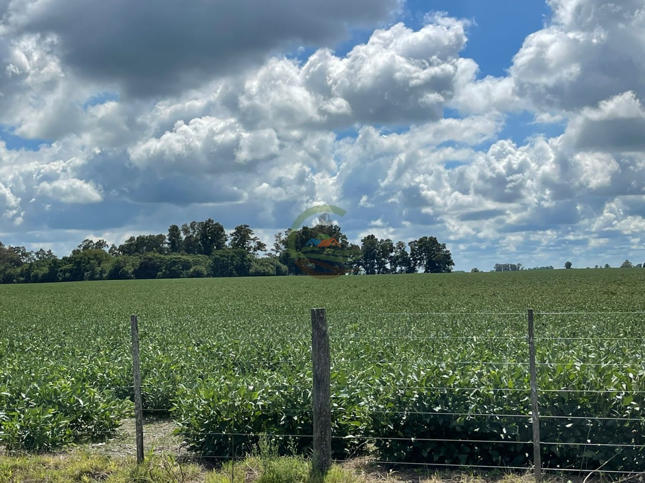 84 ha mixta - Bolivar