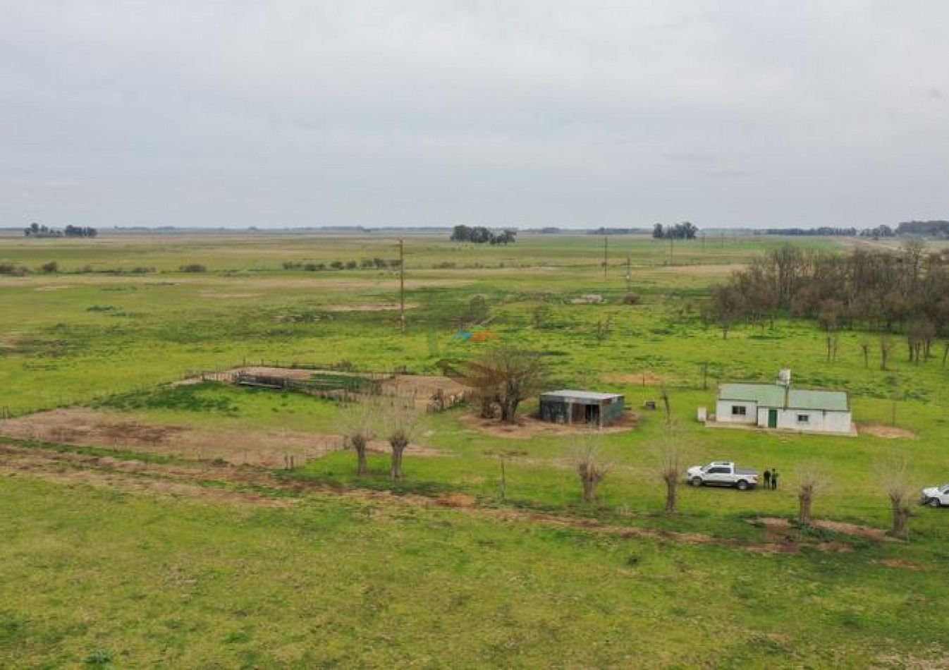 1795 Ha Ganadero - Chascomus