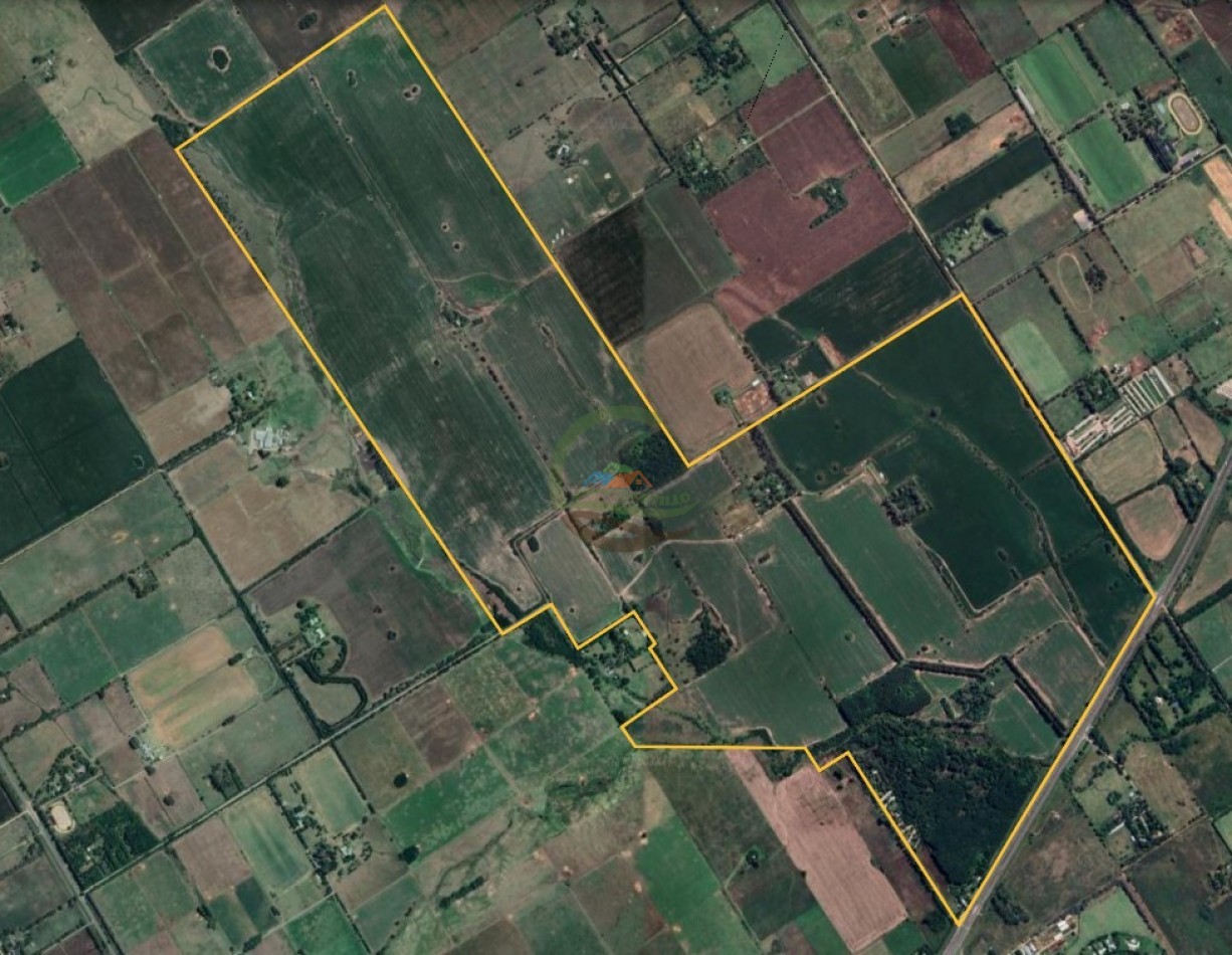 401 Ha Mixto - Lujan 