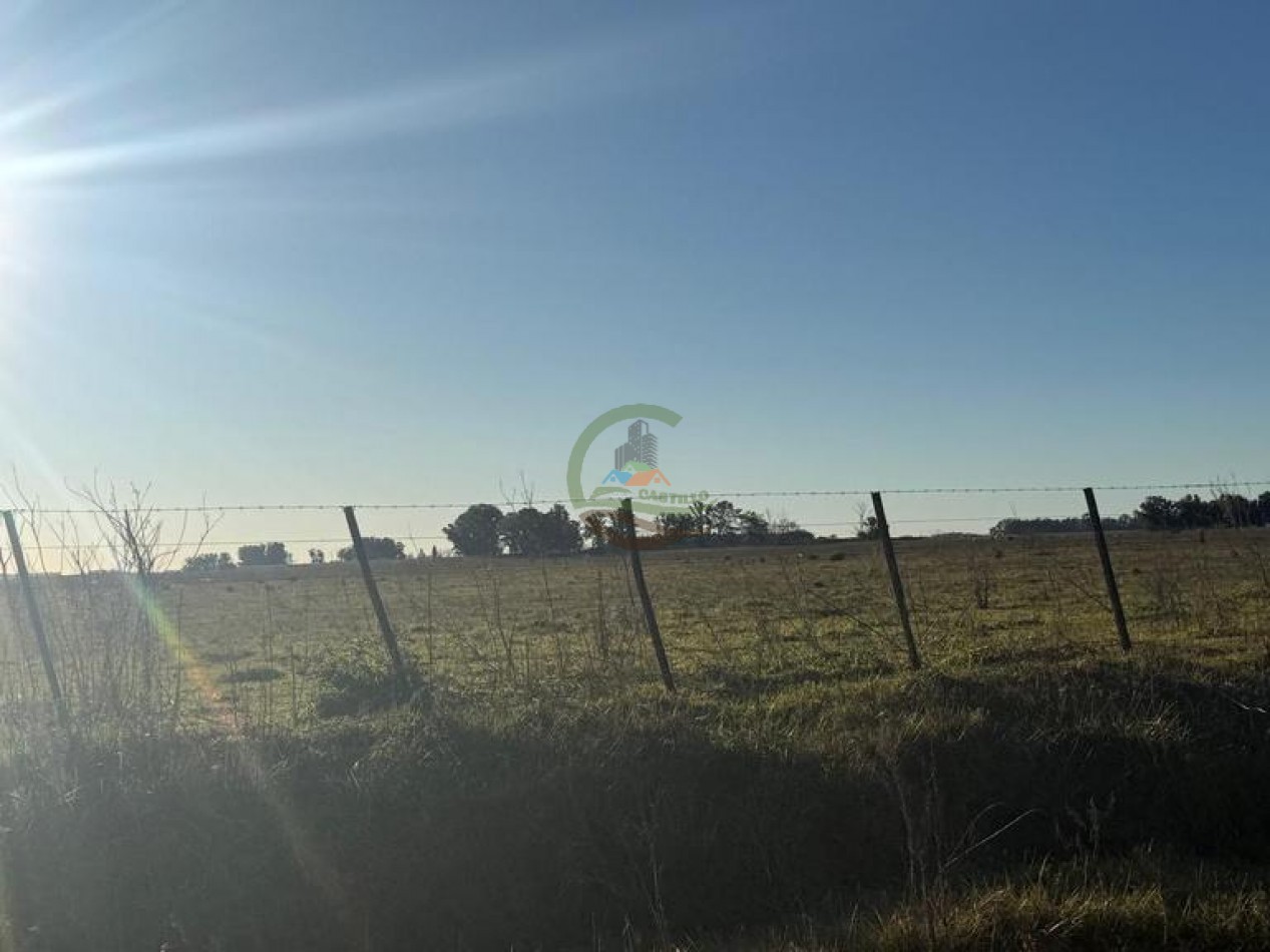 101 Ha Agricolas - Bolivar - Alquiler
