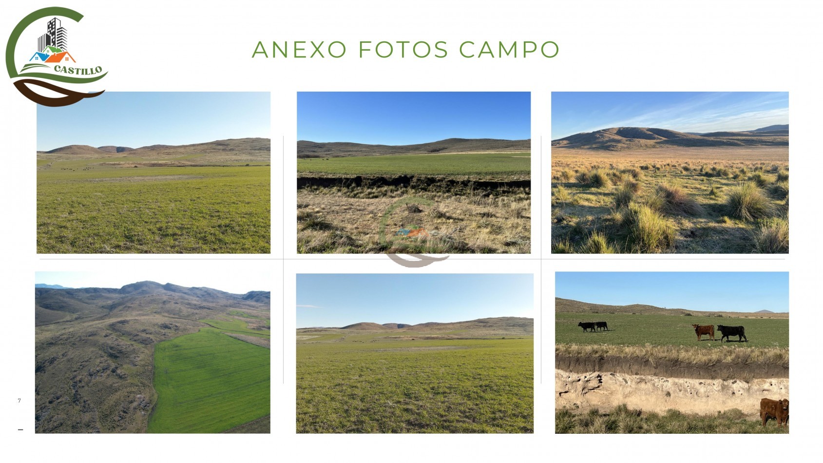 6570 ha Mixtas - Coronel Suarez