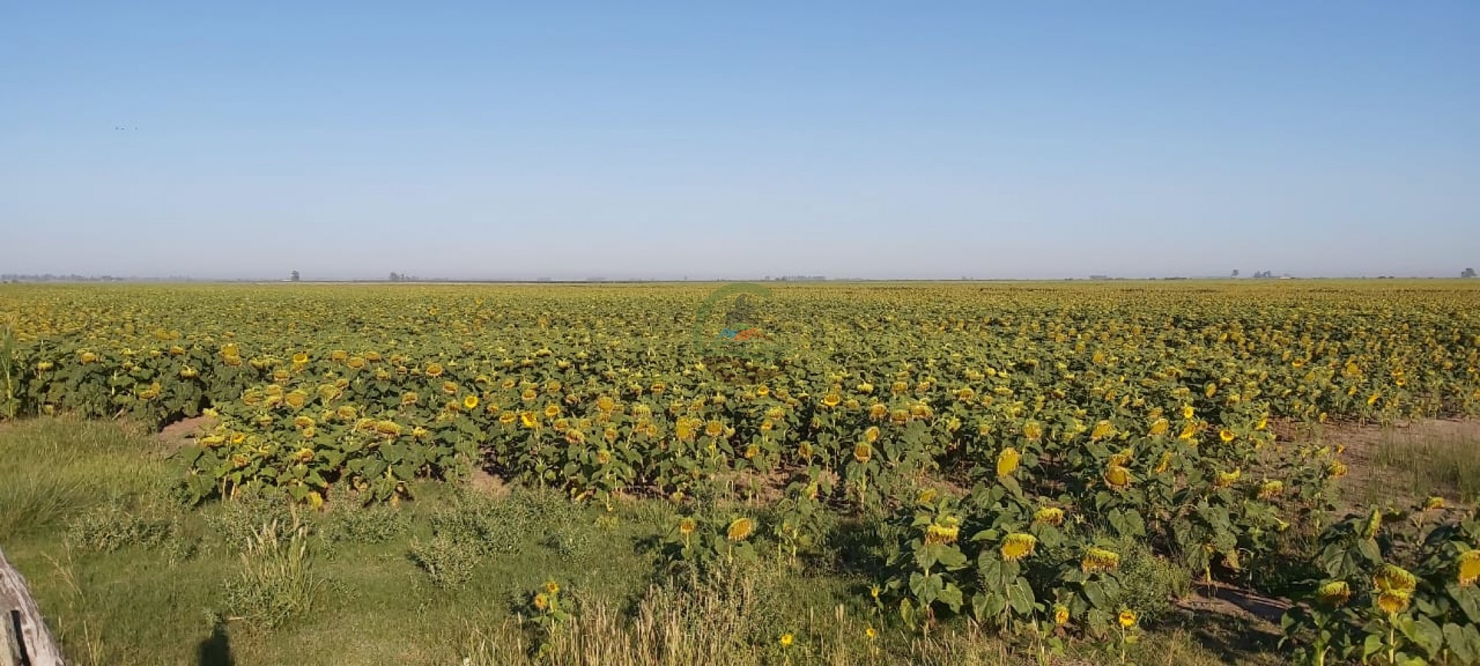 180 Ha Agricolas - Marcos Juarez - Cordoba 