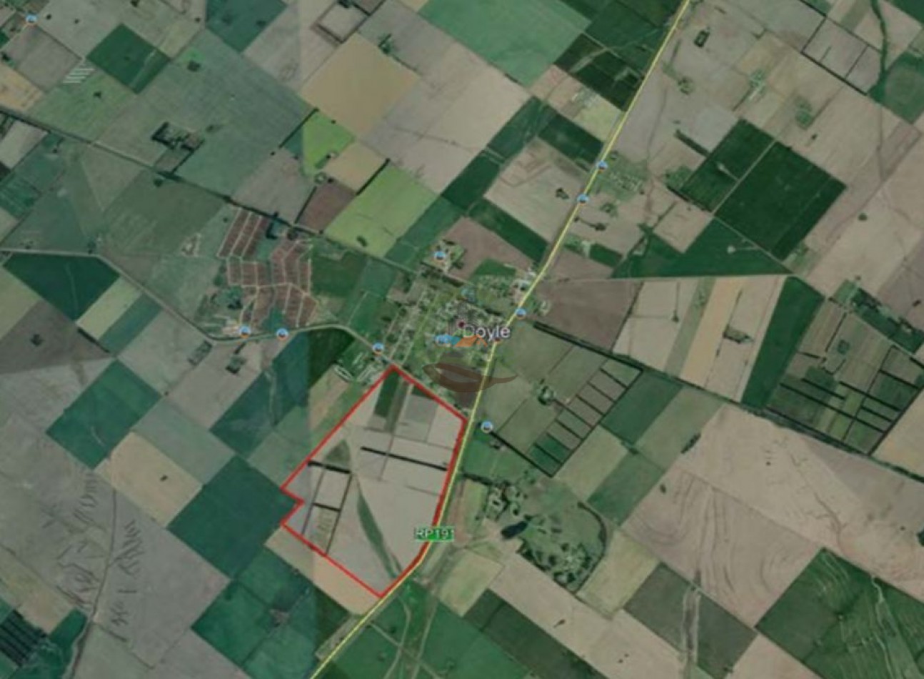 158 ha agricolas - san pedro