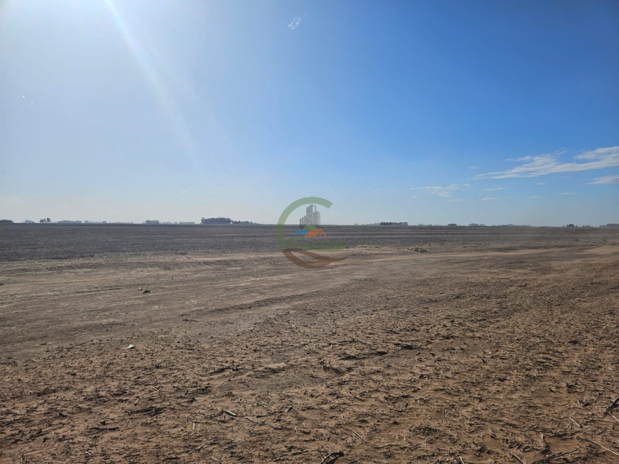 797 ha Agricolas - Bolivar