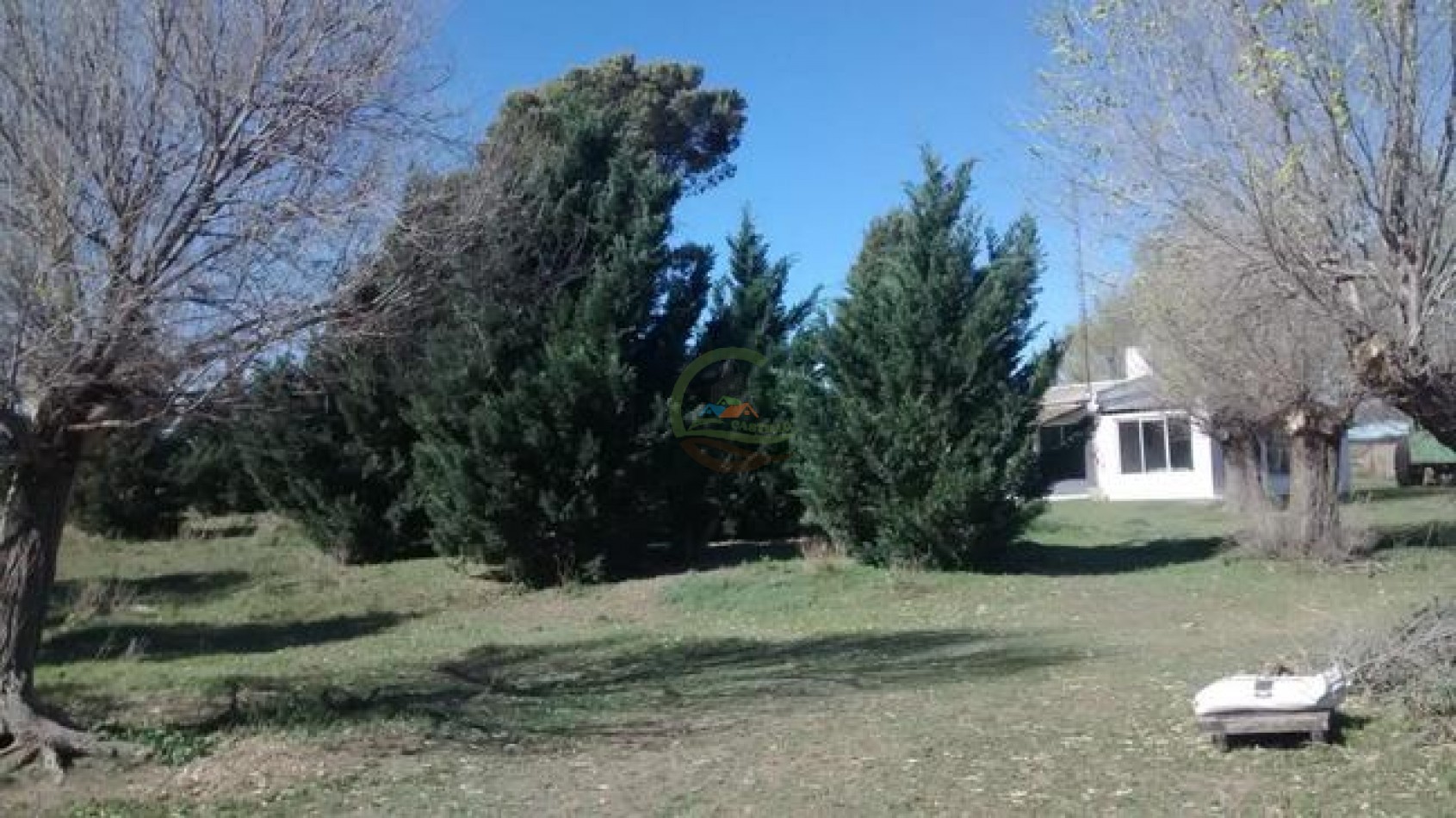 850 Ha Mixto - Puan
