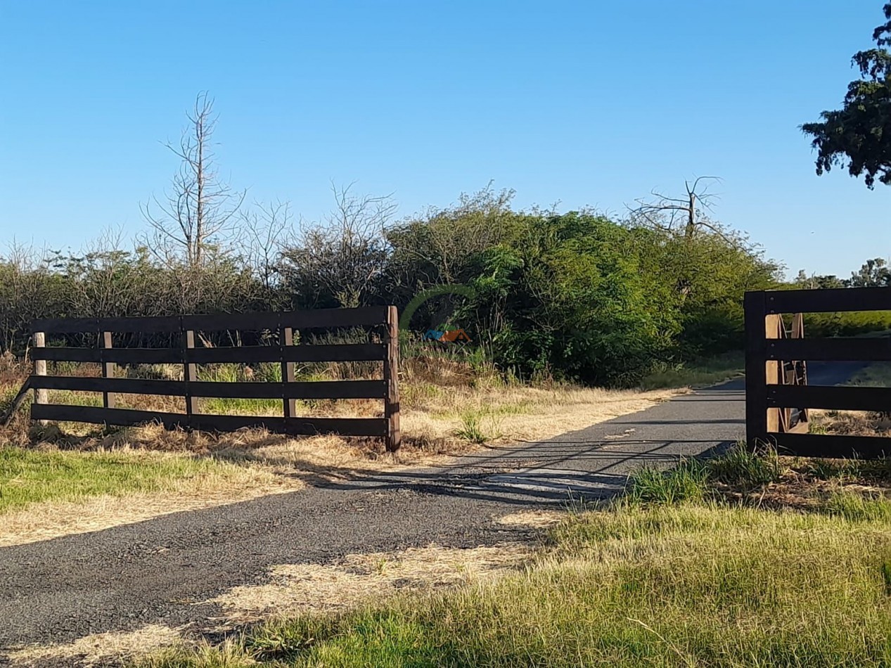 2200 Ha Agricolas - Laboulaye - Cordoba