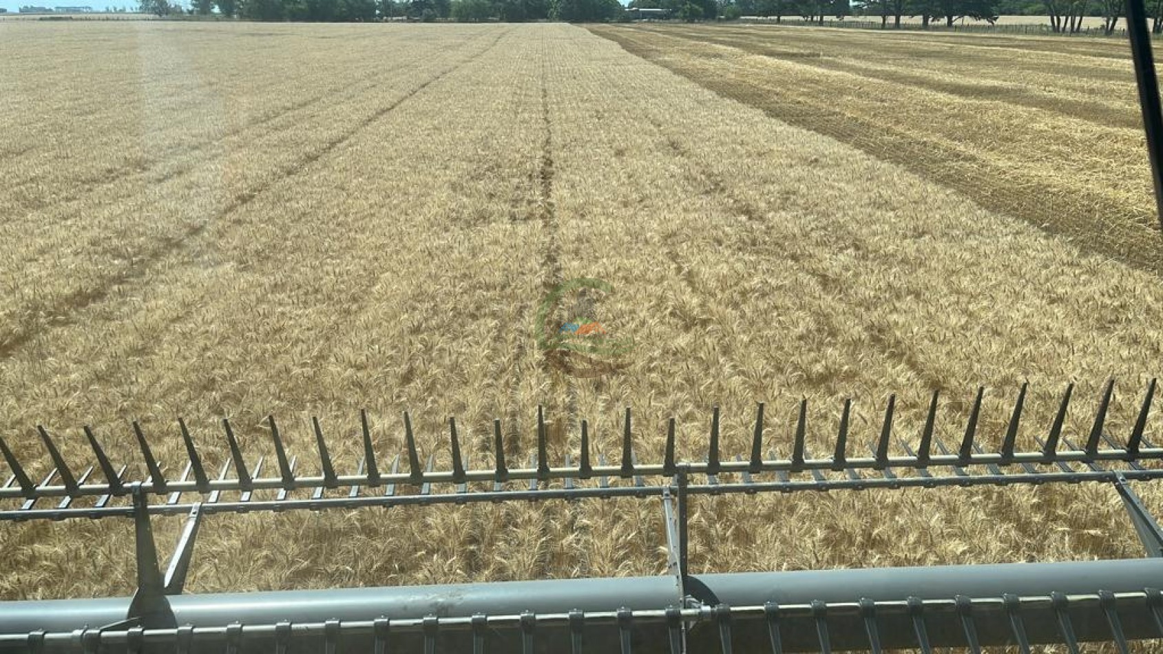 210 ha Agricolas - 25 de MAyo 