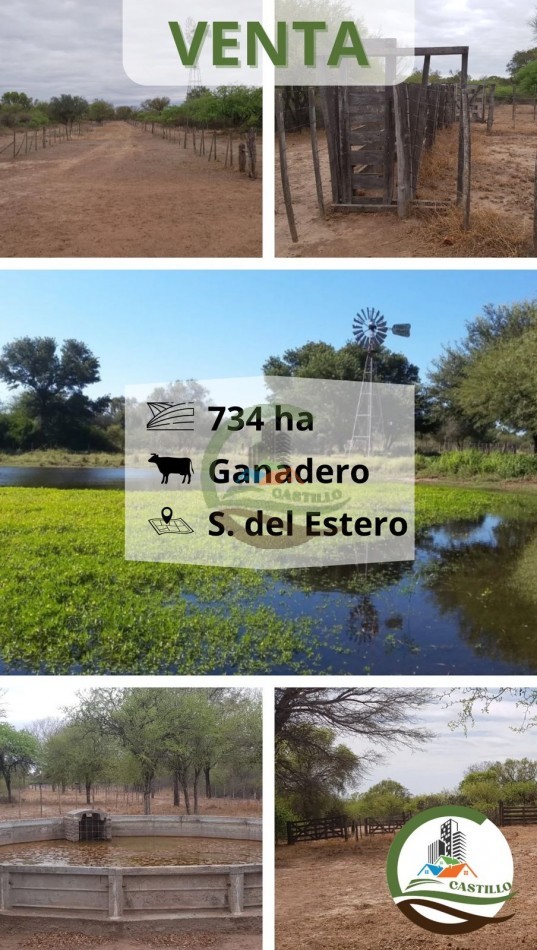 734 ha Ganadero - Santiago del Estero