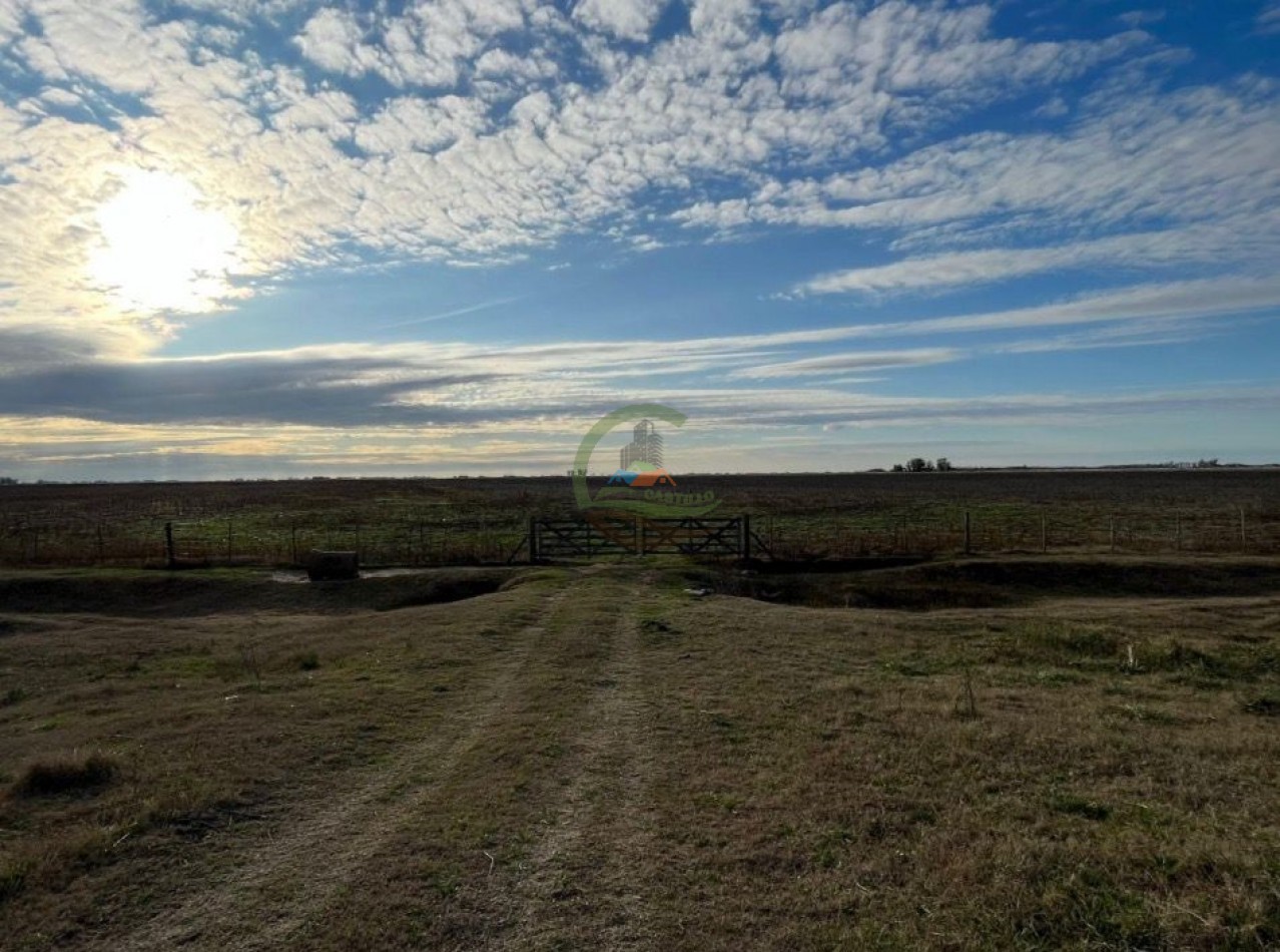 150 ha Mixtas - Polvaredas