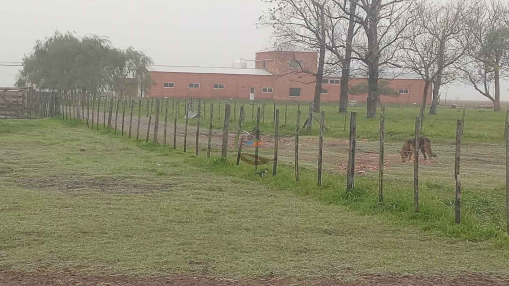 488 ha Mixto - Saladillo