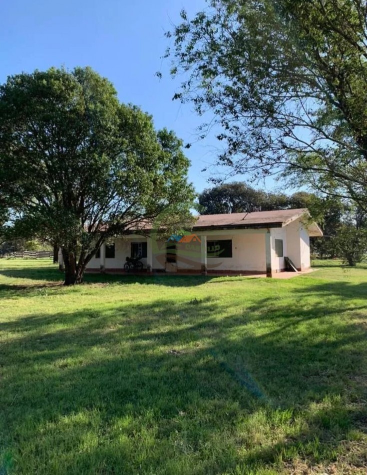 3900 ha Mixtas - La Carlota