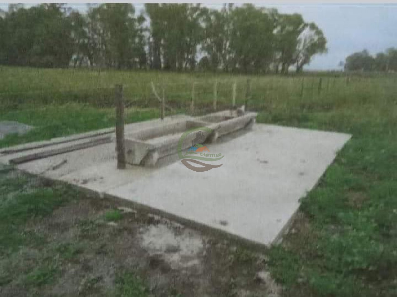 200 ha MIxtas . Tapalque 