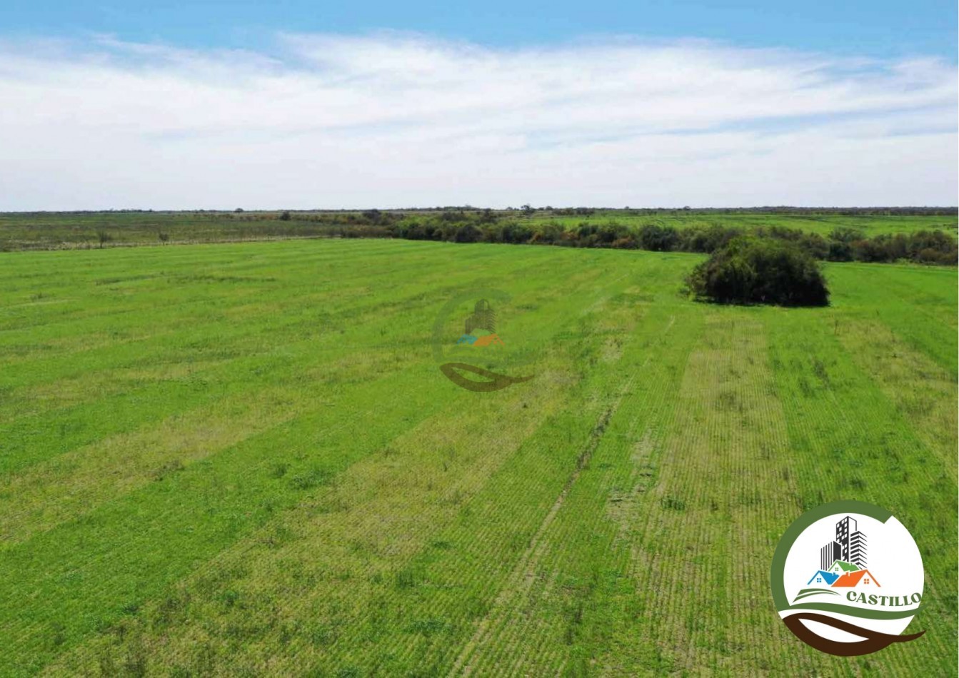 2658 ha Mixto - Entre Rios